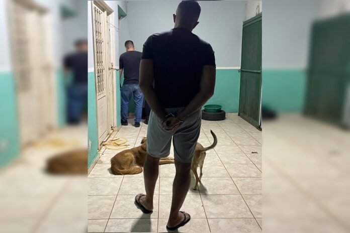 clinica-do-terror:-falso-veterinario-matou-caes-e-gatos-apos-cirurgias