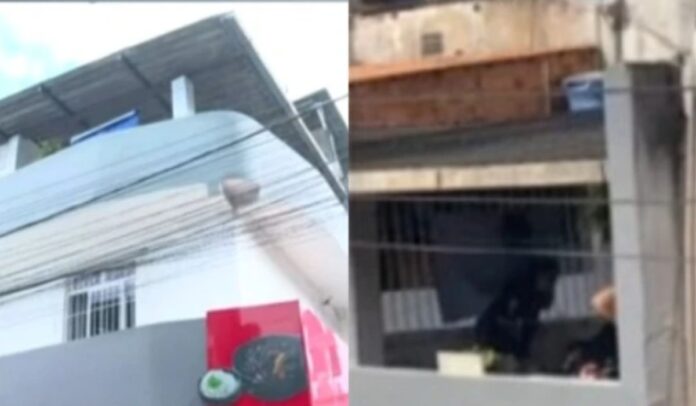 mpt-abre-inquerito-para-apurar-morte-de-pedreiro-eletrocutado-em-pernambues