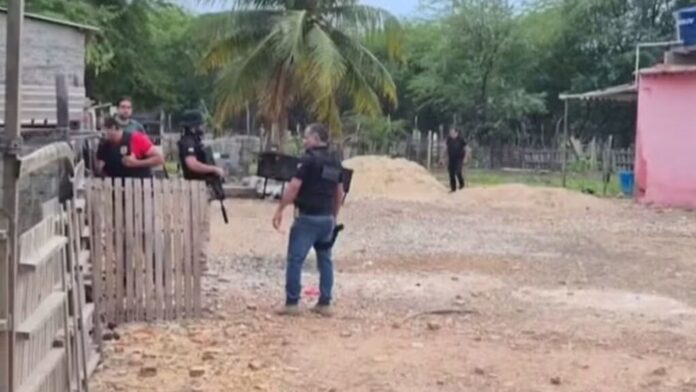 suspeito-de-enviar-micos-e-macacos-ao-rj,-homem-e-preso-por-trafico-internacional-de-animais-em-juazeiro