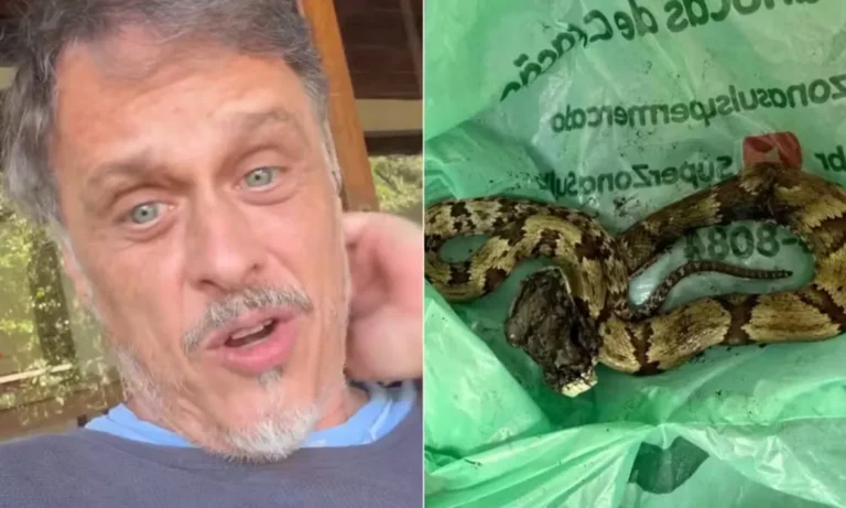 estrela-de-‘a-viagem’-e-picado-por-cobra-e-e-levado-para-emergencia