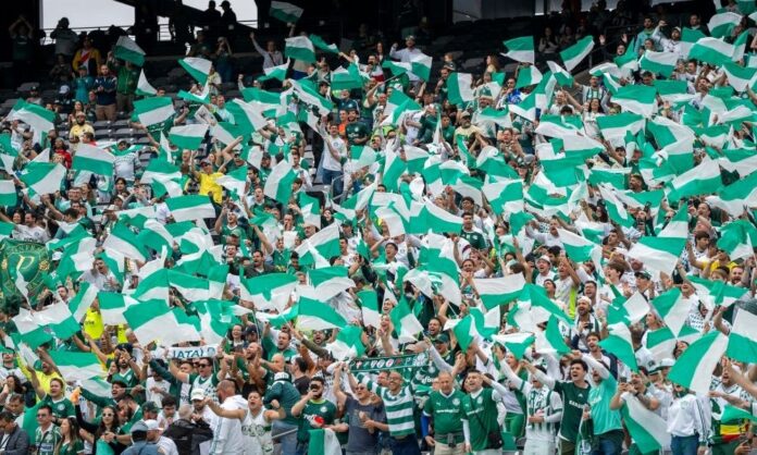 palmeiras-tem-maior-publico-entre-brasileiros-na-estreia-no-mundial-de-clubes