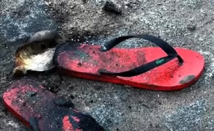 homem-morre-eletrocutado-em-eunapolis-apos-cabo-de-energia-cair-na-br-367