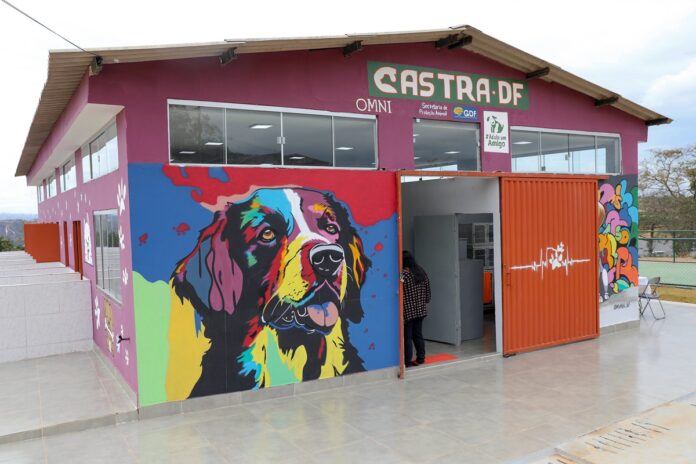 castra-df-inaugura-abrigo-publico-temporario-para-animais-de-rua