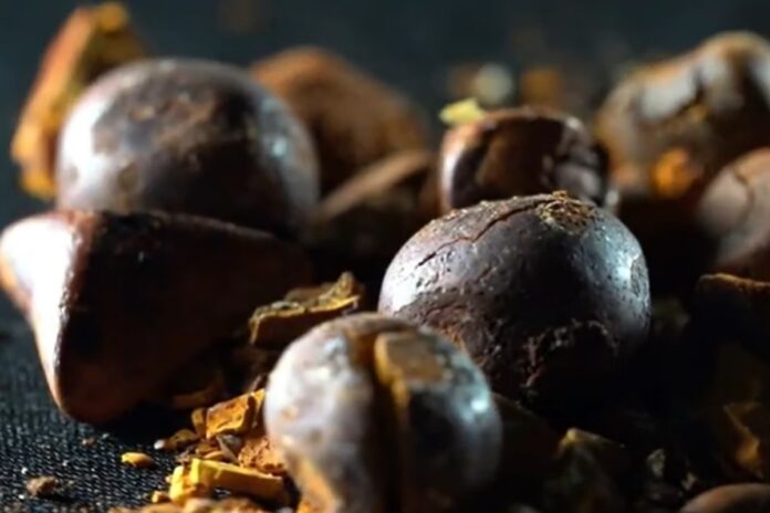 pedra-de-fel-de-boi-avaliada-em-r$-1-milhao-e-furtada-de-frigorifico