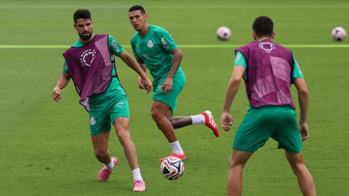 abel-comanda-treino-com-reservas-e-comeca-a-montar-o-palmeiras-para-duelo-com-o-chelsea