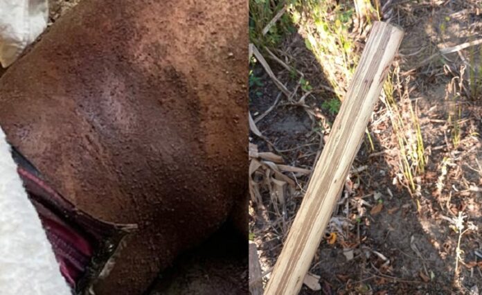 trabalhador-rural-e-assassinado-em-prado;-policia-investiga-motivacao