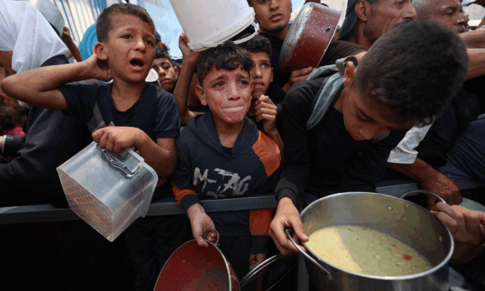 entidades-denunciam-reducao-da-distribuicao-de-alimentos-em-gaza
