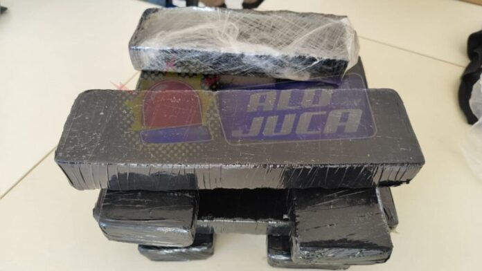 policia-apreende-8-kg-de-maconha-em-onibus-interestadual-em-caetite