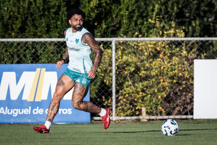 gabigol-e-absolvido-de-acusacao-de-fraude-em-exame-antidoping-e-pode-seguir-jogando-pelo-cruzeiro