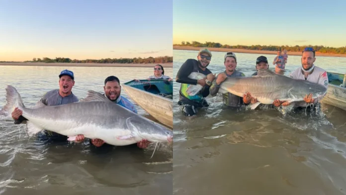 pescador-captura-piraiba-gigante-no-rio-araguaia