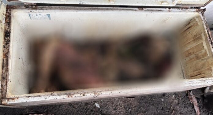 corpo-em-estado-de-decomposicao-e-encontrado-dentro-de-freezer-na-bahia