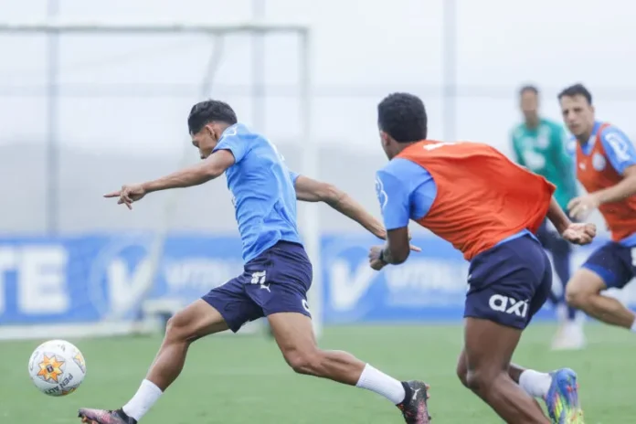 rogerio-ceni-comanda-ultimo-treino-do-bahia-antes-do-fortaleza