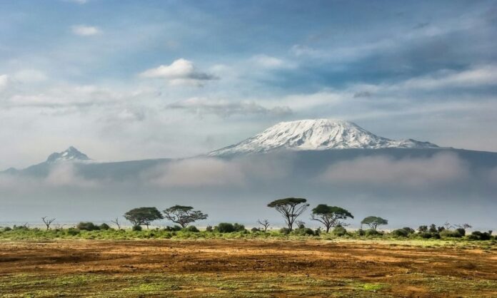 pesquisadores-fazem-descoberta-surpreendendo-e-encontram-ras-a-4.000-metros-de-altitude-na-tanzania