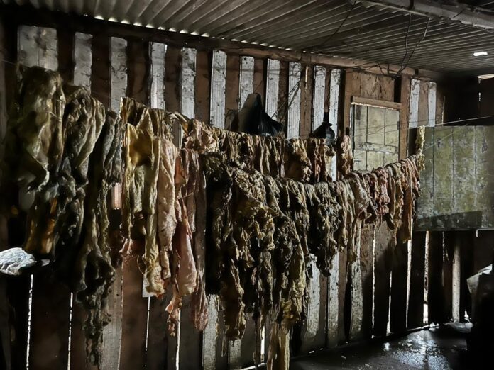 adab-apreende-1,5-tonelada-de-carne-clandestina-e-prende-homem-por-crime-ambiental-no-sul-da-bahia
