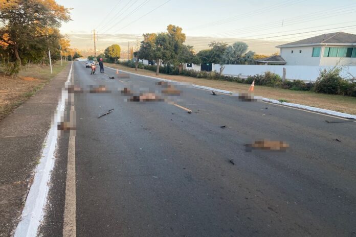 lago-sul:-condutor-de-carreta-foge-apos-atropelar-e-matar-13-capivaras