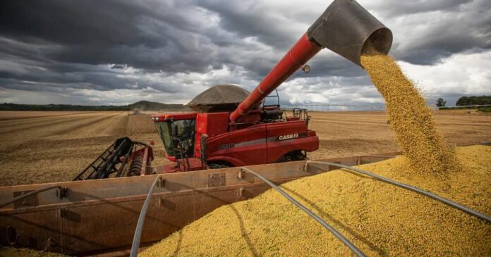 conab-projeta-crescimento-de-14,2%-na-producao-brasileira-de-graos