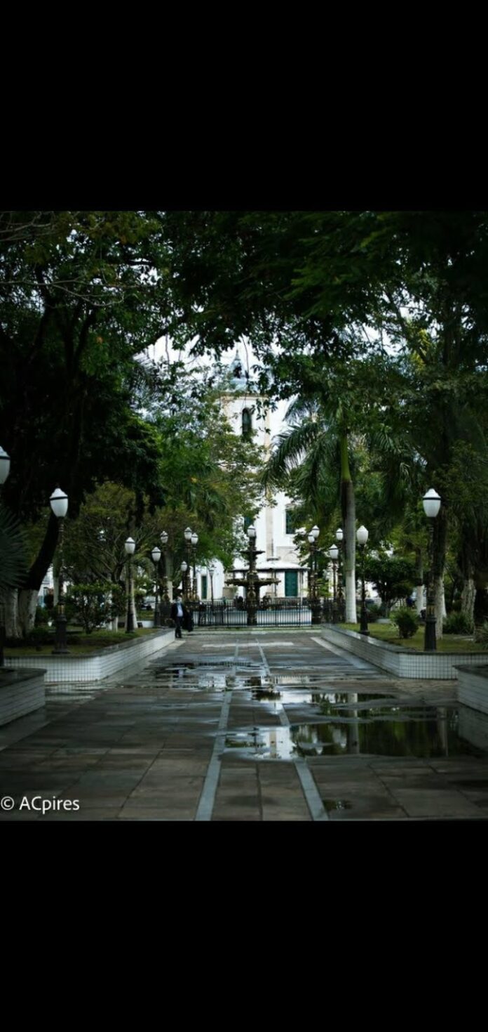 mpf-instaura-inquerito-civil-para-apurar-e-supostas-irregularidades-cometida-na-execucao-do-pnae-em-santo-amaro