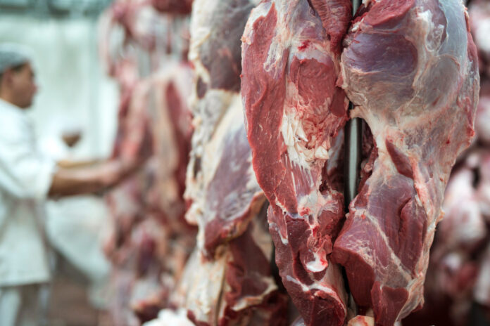 estados-unidos-aumentam-compra-de-carne-brasileira-antes-de-tarifa-de-trump,-diz-cepea