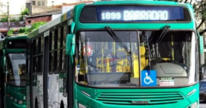 torcida-do-vitoria-tera-transporte-especial-para-o-classico-regional-contra-o-sport-no-barradao