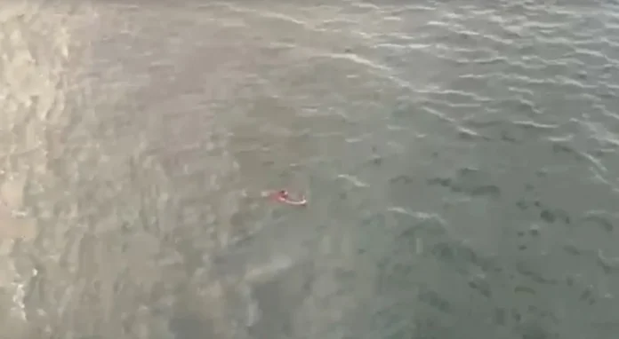 aquaman?-suspeito-de-trafico-tenta-fugir-da-policia-e-e-capturado-em-alto-mar
