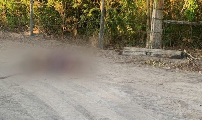 mapa-da-violencia-2024:-porto-seguro-entra-no-ranking-das-20-cidades-mais-violentas;-eunapolis,-fora-da-lista,-enfrenta-onda-de-criminalidade