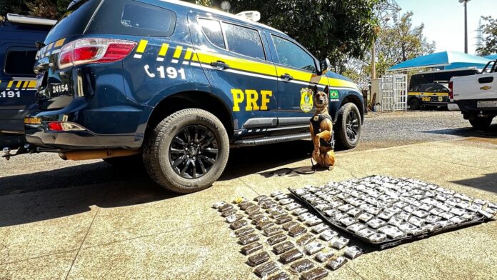 casal-e-preso-com-17-kg-de-haxixe-escondidos-em-carro-na-br-060