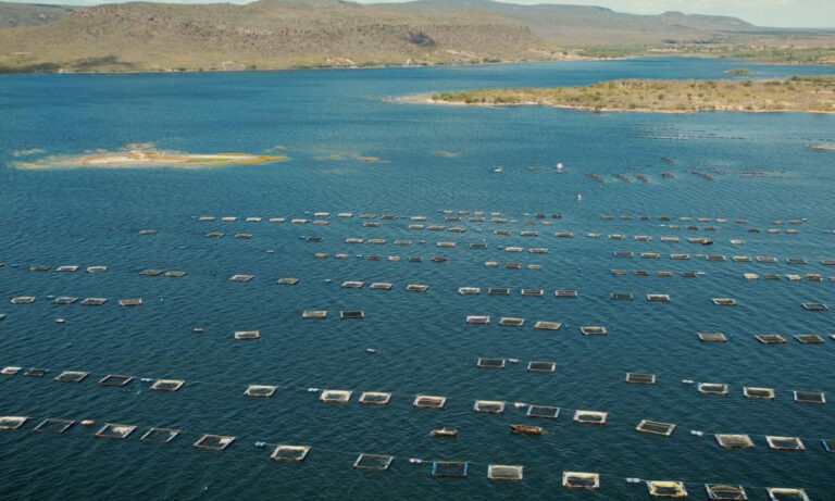 ‘onde-tem-bahia’:-2a-temporada-aborda-a-importancia-da-economia-do-mar