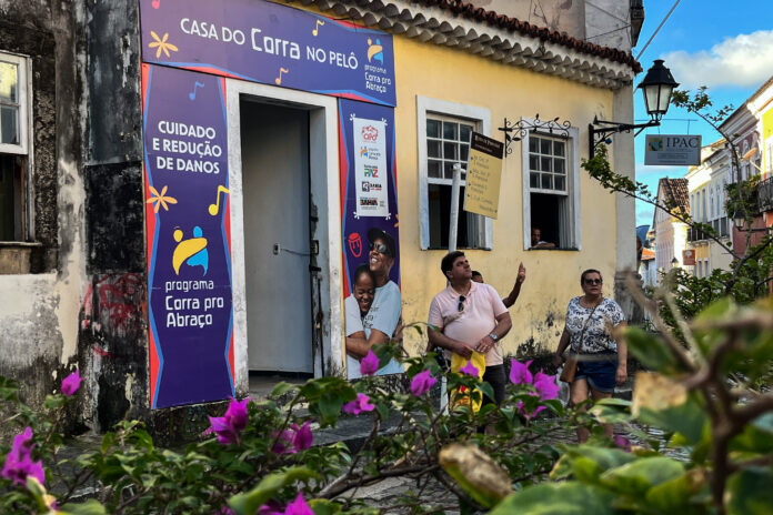 cannabis-vai-tratar-a-dependencia-de-alcool-e-crack;-saiba-como