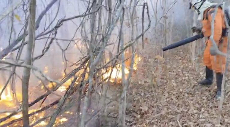 bombeiros-combatem-incendios-florestais-no-oeste-da-bahia-durante-operacao-florestal-2025
