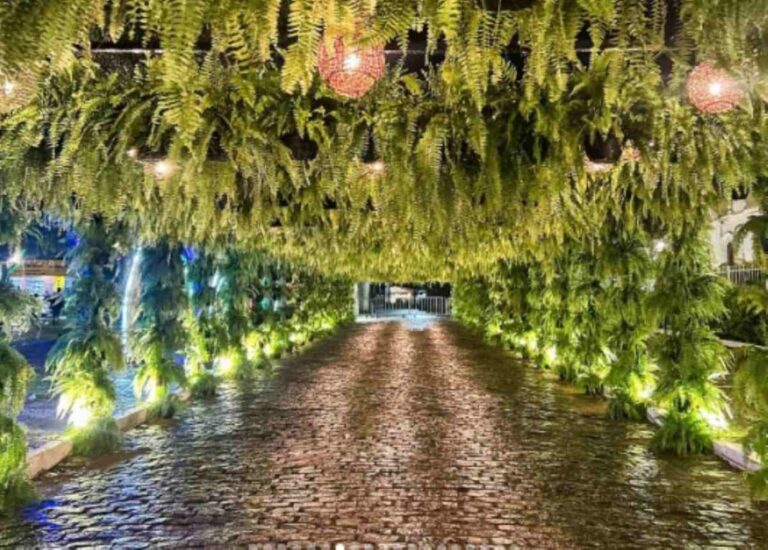 prefeito-relata-furto-de-500-samambaias-durante-festival-de-musica-no-interior-baiano