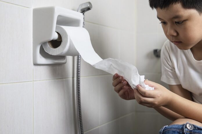 mito-ou-verdade:-papel-higienico-deve-ir-no-vaso-sanitario-ou-no-lixo?