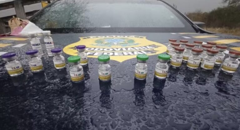 prf-apreende-ampolas-de-ozempic-e-mounjaro-em-onibus-interestadual-na-br-116,-na-bahia