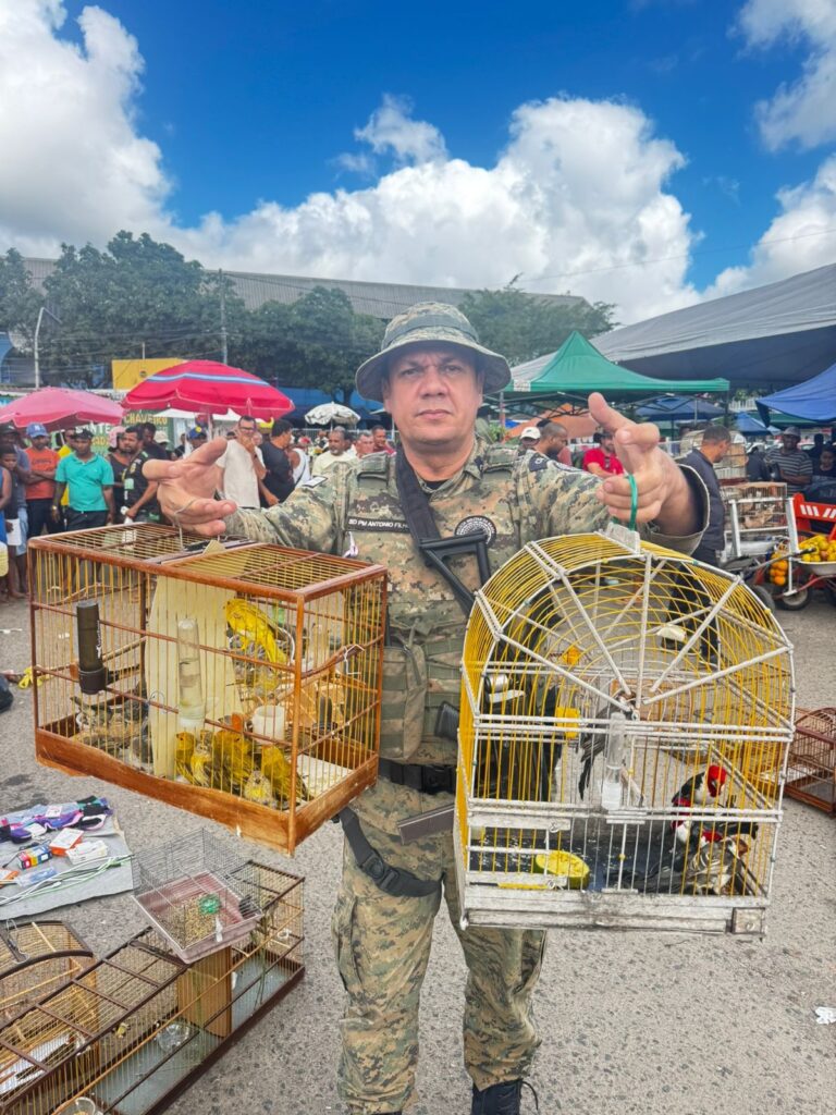 policia-ambiental-resgata-48-aves-silvestres-comercializadas-ilegalmente-em-camacari
