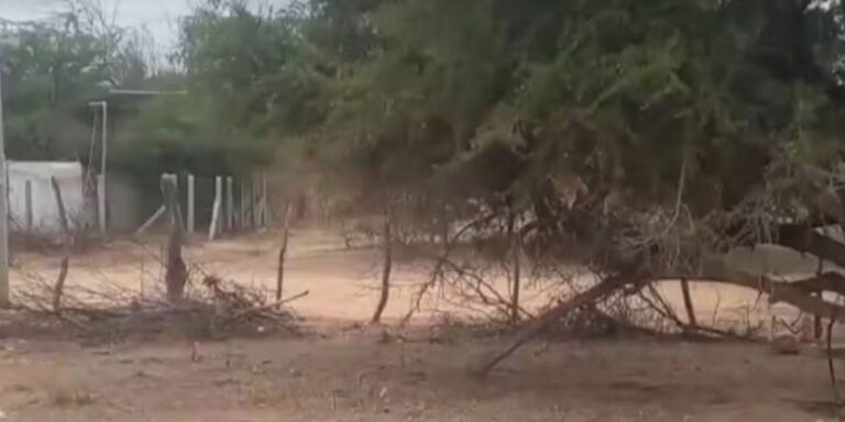 idoso-e-nora-morrem-eletrocutados-ao-encostar-em-cerca-energizada-na-zona-rural-de-sobradinho