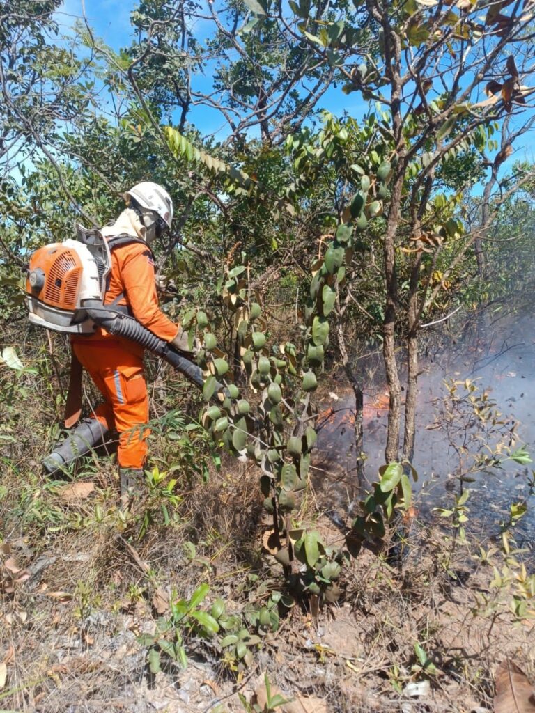 corpo-de-bombeiros-combate-a-incendios-em-5-cidades-do-extremo-oeste-baiano