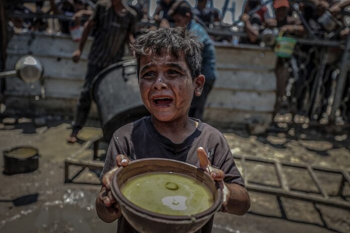 relatorio-do-msf-diz-que-palestinos-sao-baleados-como-animais-em-gaza