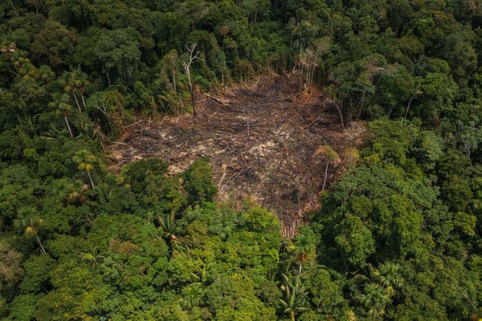 inpe:-desmatamento-sobe-4%-na-amazonia-e-reduz-21%-no-cerrado