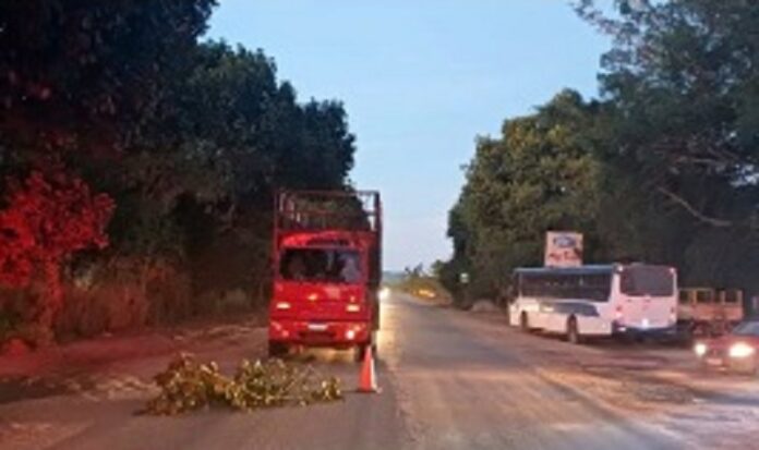 motociclista-morre-apos-colidir-contra-caminhao-na-br-101,-em-eunapolis