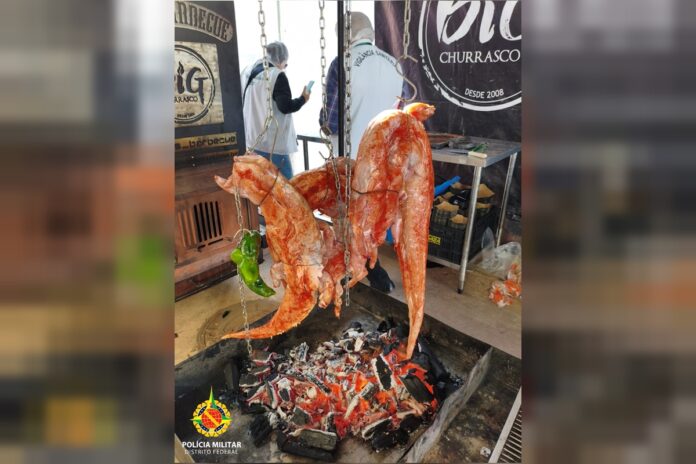 operacao-apreende-carne-de-jacare-durante-evento-de-gastronomia-no-df