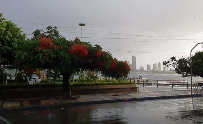 crianca-morre-eletrocutada-ao-tentar-resgatar-pipa-no-norte-baiano
