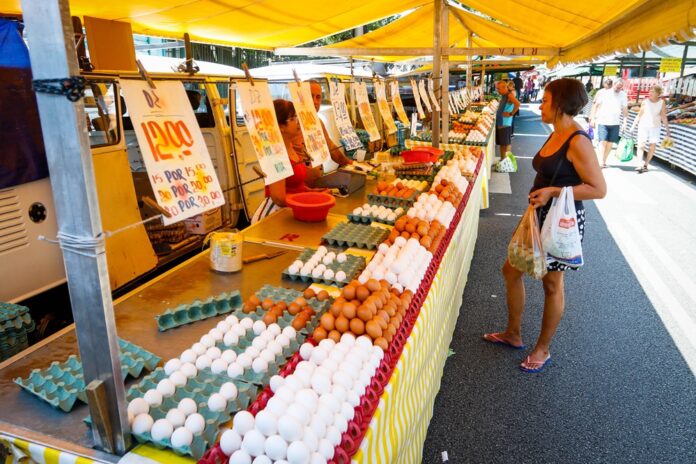 precos-de-alimentos-caem-em-julho-pelo-segundo-mes-consecutivo,-mostra-ibge