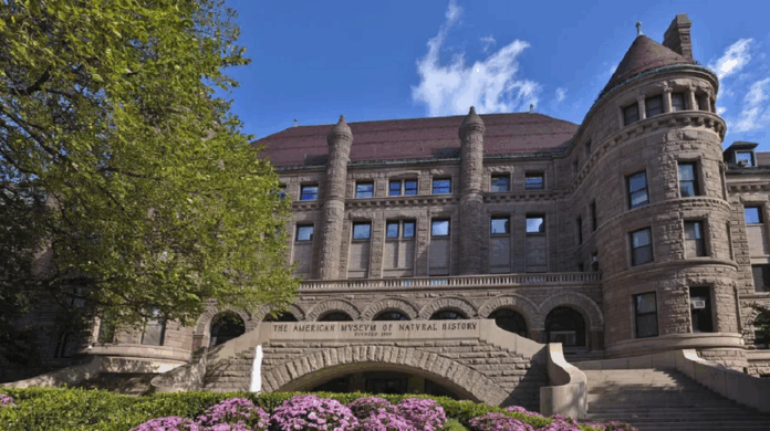 casa-branca-avaliara-museus-em-washington-para-eliminar-narrativas-‘partidarias’