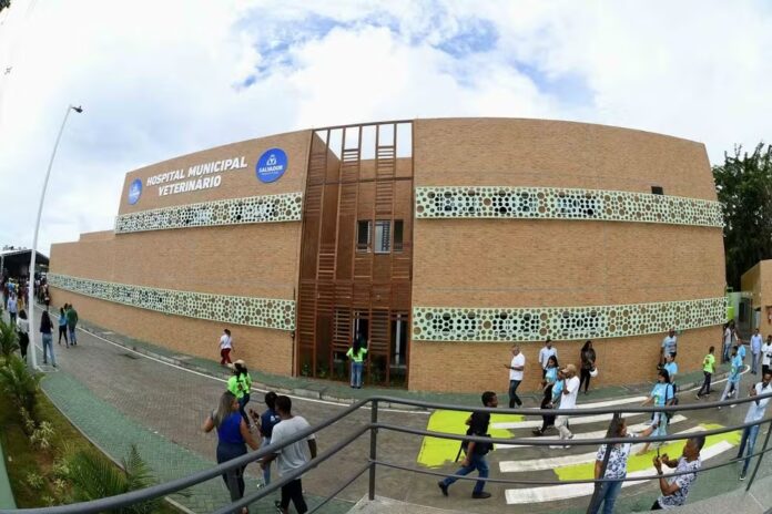 hospital-veterinario-faz-agendamento-de-castracao-gratuita-de-pets