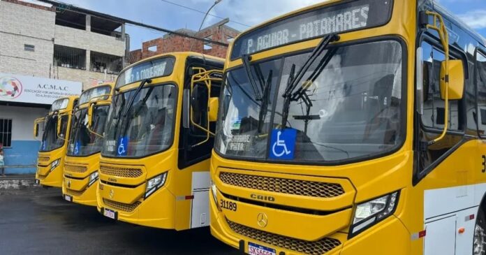 cobradora-de-onibus-e-vitima-de-tentativa-de-estupro-no-alto-do-coqueirinho,-em-salvador