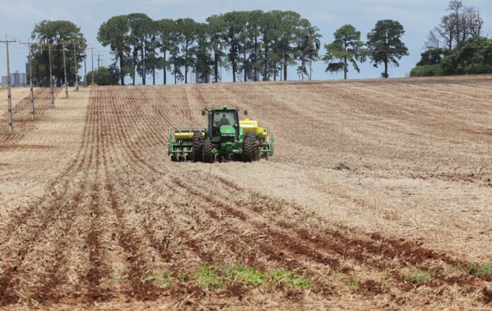 producao-brasileira-de-graos-na-safra-2024/25-indica-recorde-de-345,23-milhoes-de-toneladas