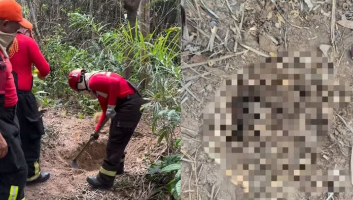 policiais-militares-localizam-corpos-esquartejados-em-area-de-mata