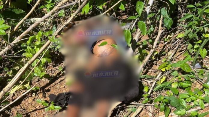 mulher-e-encontrada-morta-com-sinais-de-enforcamento-em-area-de-mata-na-vila-laura