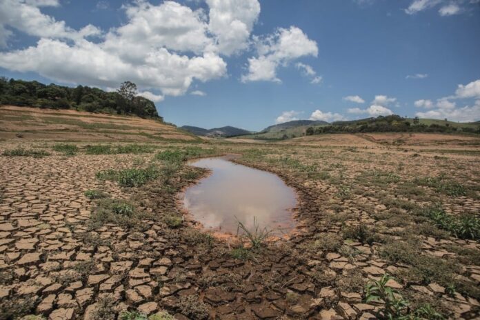 em-meio-a-desertificacao,-iniciativas-publicas-e-sociais-incentivam-resiliencia-da-caatinga-e-cerrado-baianos