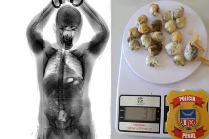 preso-e-flagrado-ao-tentar-entrar-com-18-porcoes-de-maconha-no-intestino-em-presidio-na-bahia