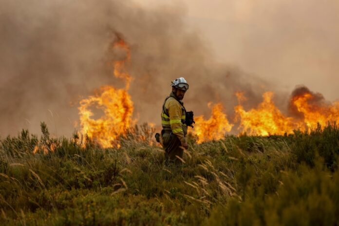 onda-de-calor-na-espanha-deixou-mais-de-1.100-mortos